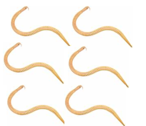 Preview: Schlange aus Holz 6er Set 50 cm (beweglich)